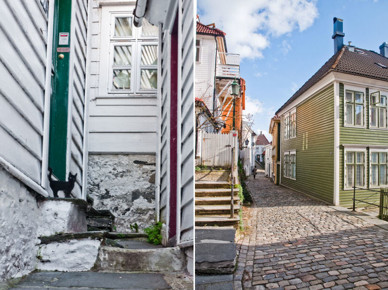 kot i malownicze uliczki w Bergen