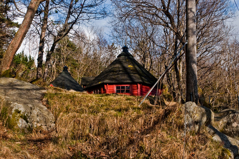 czerwony domek w lesie w Bergen