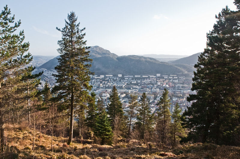 wyłaniająca się spośród drzew panorama Bergen i gór