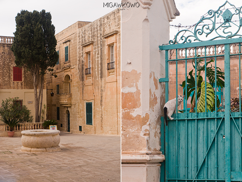 Plac w Mdinie na Malcie i kot 