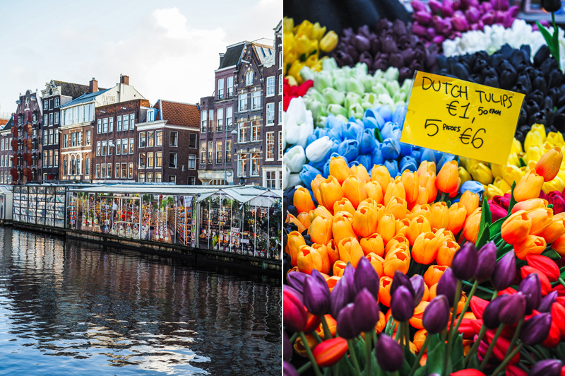 Amsterdam kolorowe kamienice Bloemenmarkt tulipany