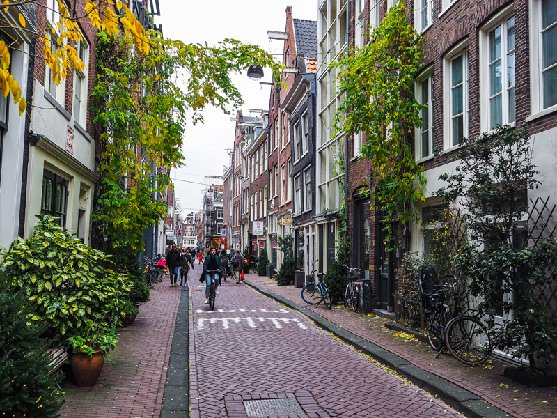 Amsterdam kamienice domy cegła rowery uliczka rośliny