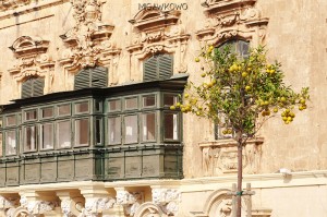 Drzewko cytrynowe i drewniane balkony w mieście Valletta na Malcie