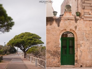 Malta Mdina drzewo i drzwi